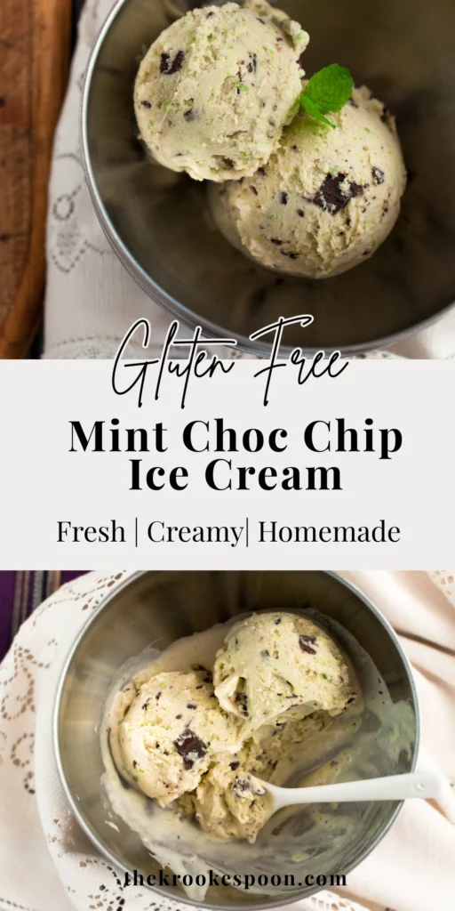 Mint Choc Chip Ice Cream