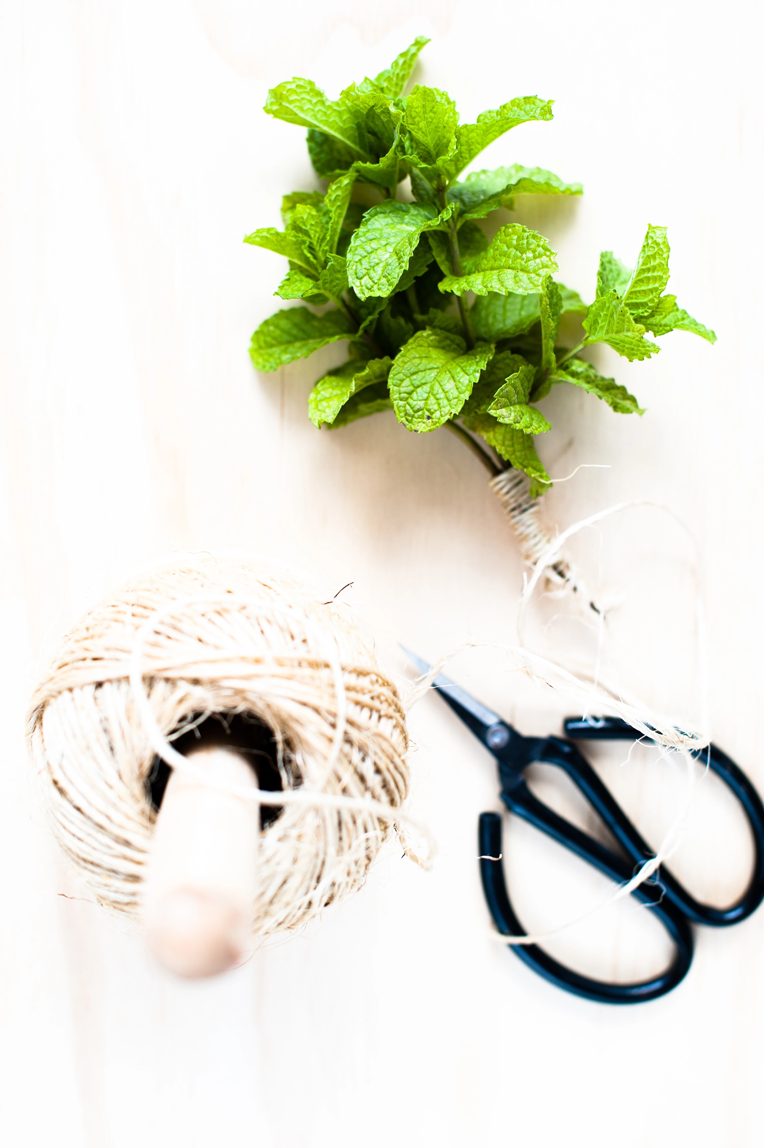 rhubarb gingerbeer cocktail
