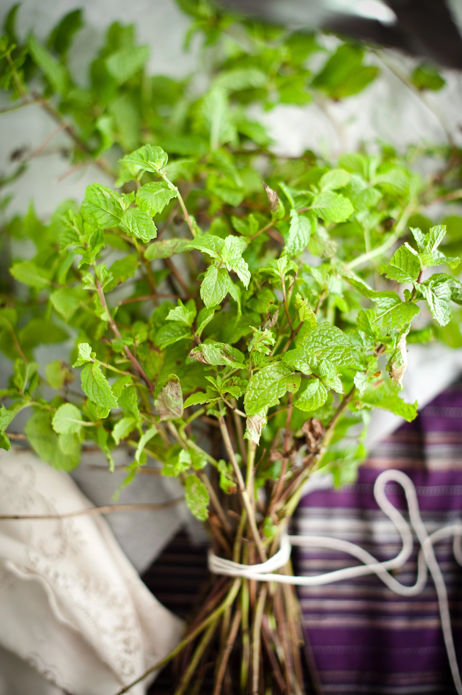 Mint bunch